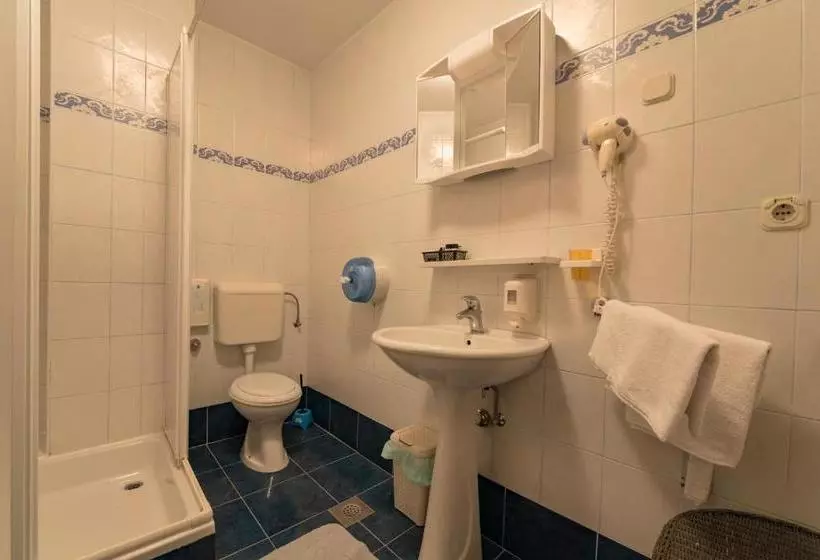 Fotos del hotel Aurora:  5