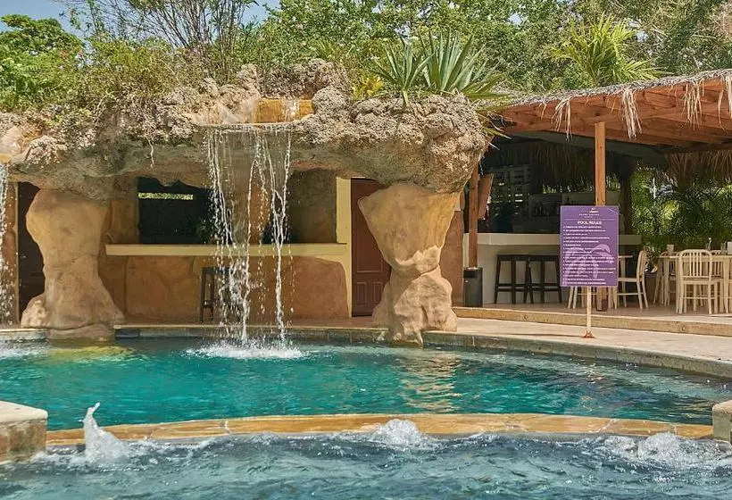 Fotos del hotel Grand Laguna Beach:  3