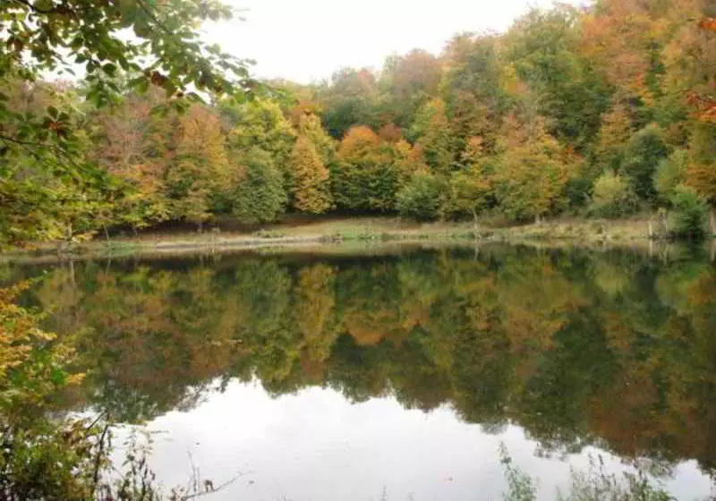 Fotos del hotel Casanova Inn - Boutique:  22