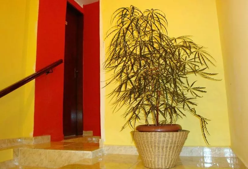 Fotos del hotel Elegance:  5