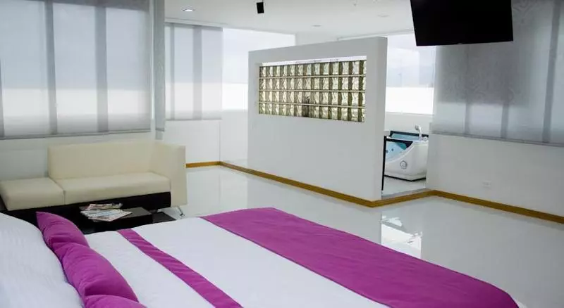 Fotos del hotel San Antonio Plaza:  12