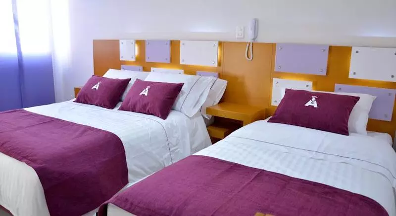 Fotos del hotel San Antonio Plaza:  10