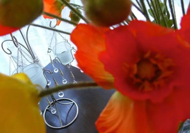 Fotos del hotel Hilltop On Tamborine:  4