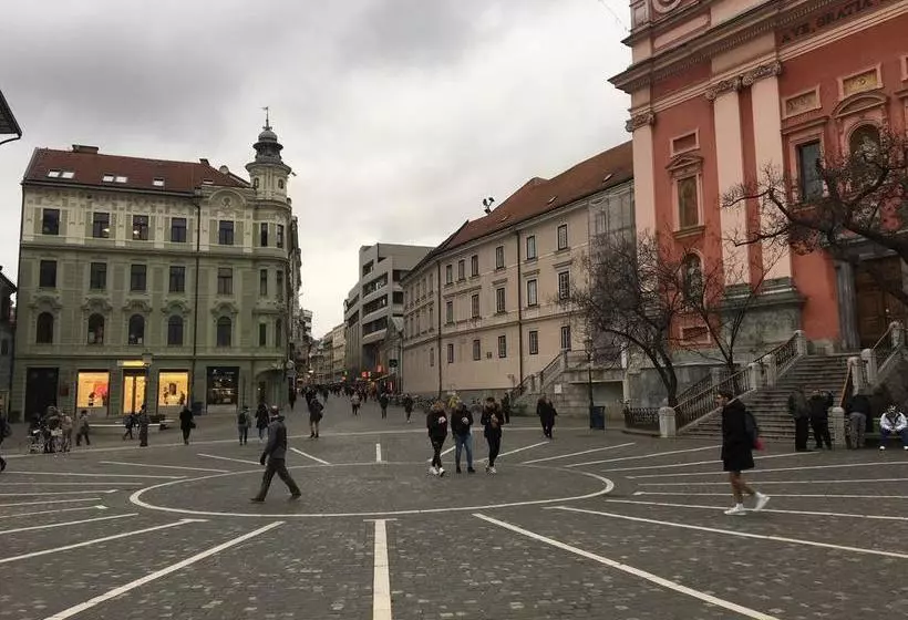 Fotos del hotel Urban Homy Ljubljana:  4