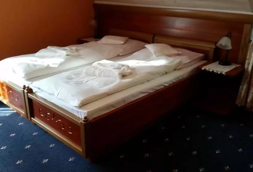 Fotos del hotel Promyk Wellness & Spa:  12