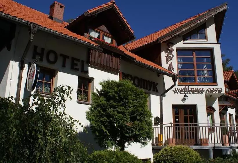 Fotos del hotel Promyk Wellness & Spa:  11