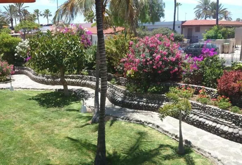 Fotos del hotel Club Canario:  12