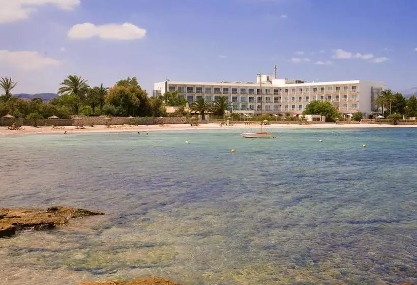 Fotos del hotel Panoramic Alcudia:  12