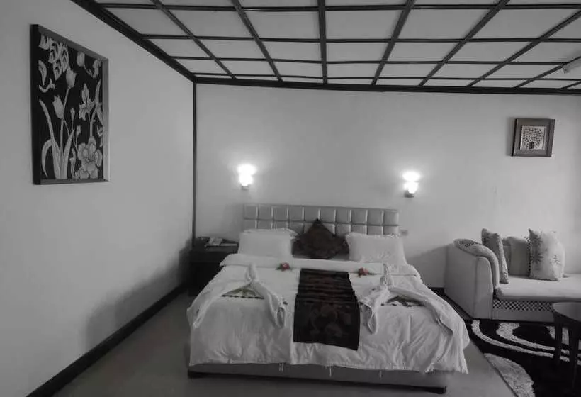 Fotos del hotel Mazsons:  5