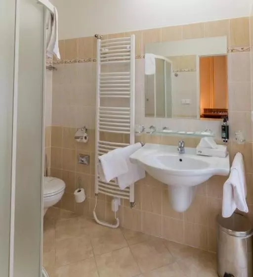 Fotos del hotel Ensana Vltava:  8