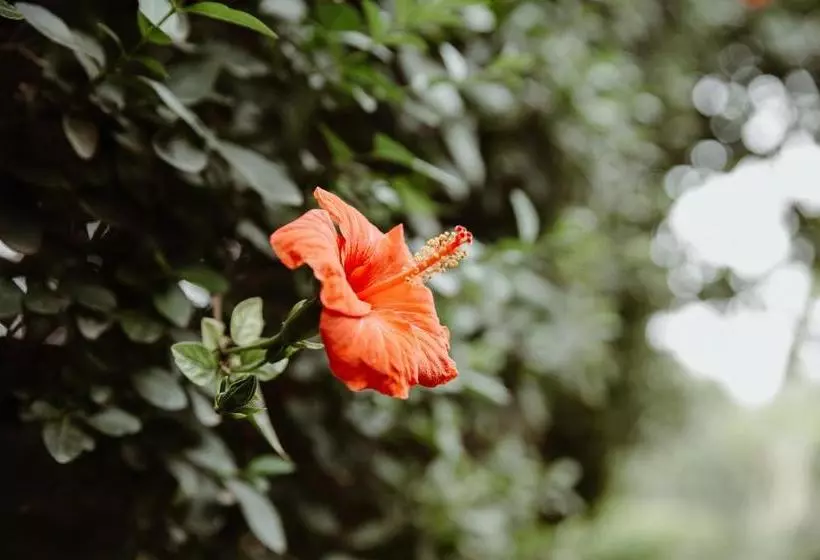 Fotos del hotel Le Bled Ferme:  10