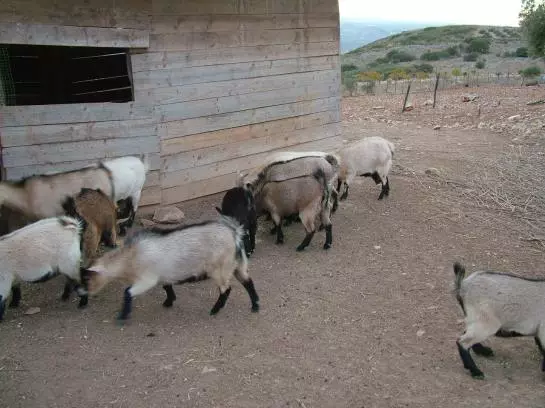 Fotos del hotel Rural Mi Refugio :  14