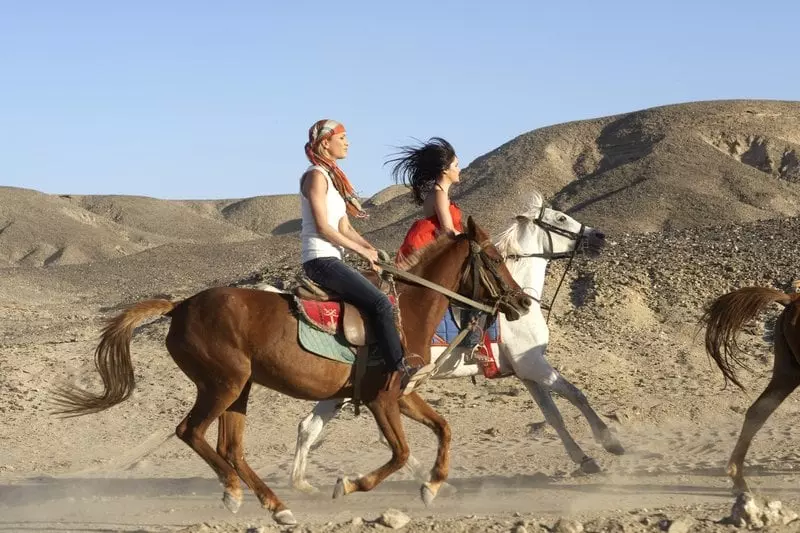 Fotos del hotel Siva Port Ghalib:  10