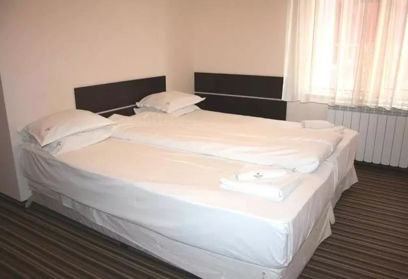 Fotos del hotel Orlando:  8