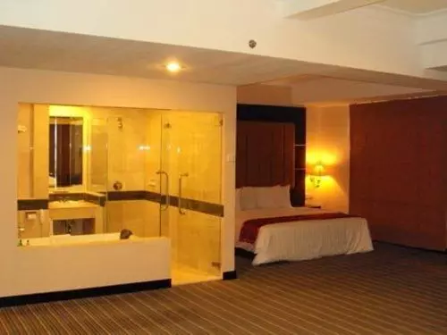 Fotos del hotel Twin Plaza:  21