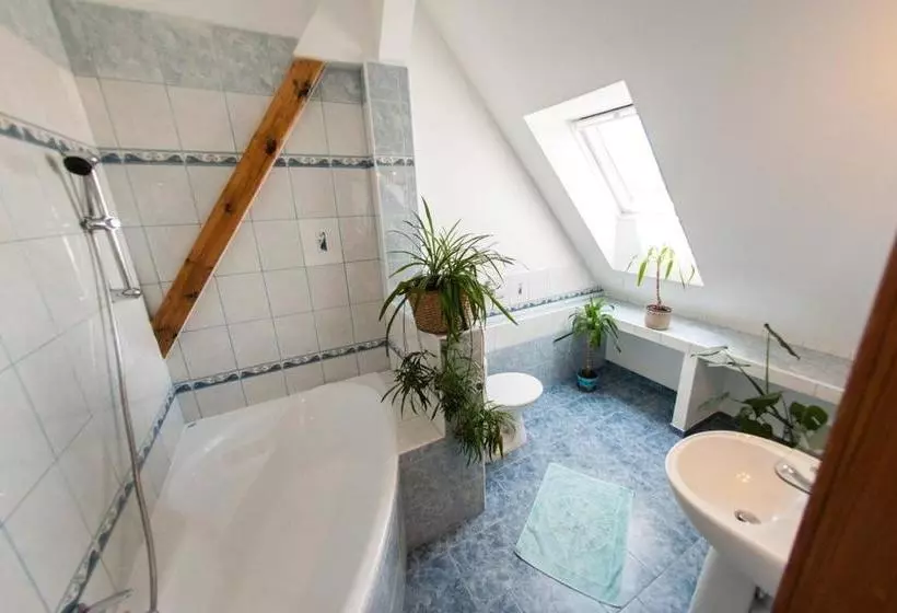 Fotos del hotel Penzion Svet:  11