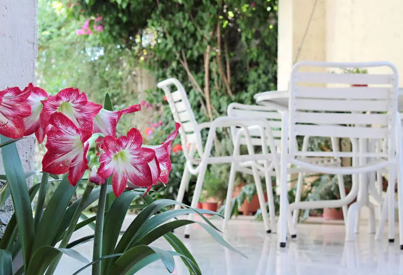 Fotos del hotel Paradise Departamentos:  4