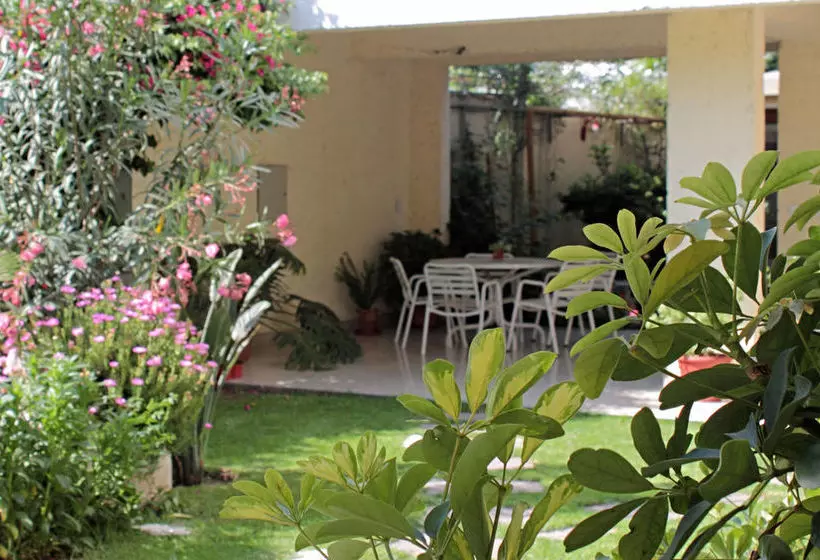 Fotos del hotel Paradise Departamentos:  17