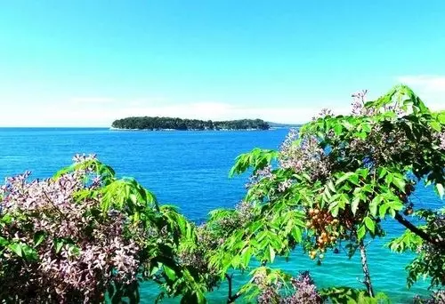 Fotos del hotel Sea Of Eden:  17