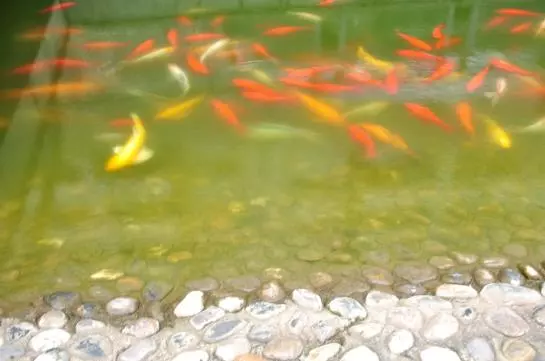 Fotos del hotel Noahs Hotel Suzhou:  7