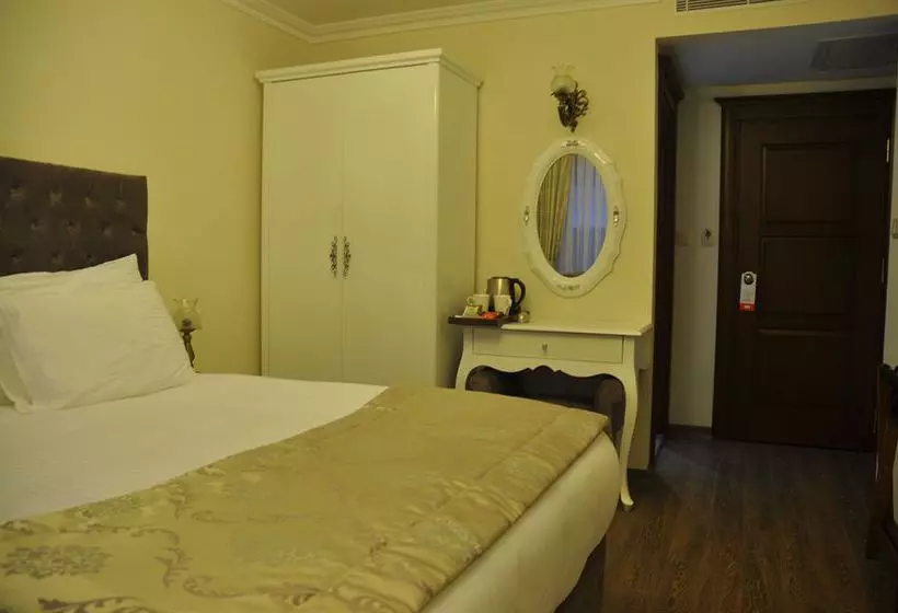 Fotos del hotel World Heritage Hotel Istanbul:  12