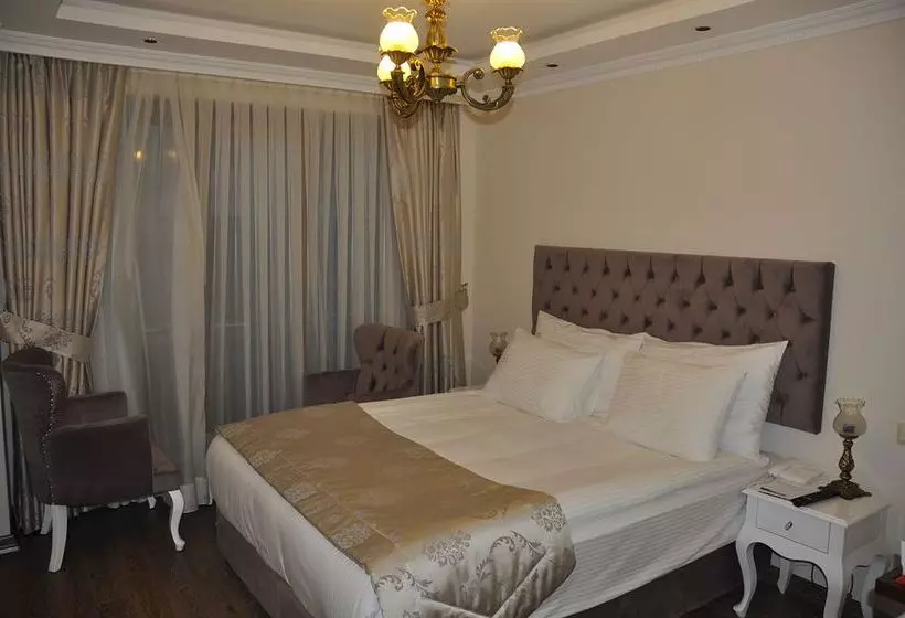 Fotos del hotel World Heritage Hotel Istanbul:  7