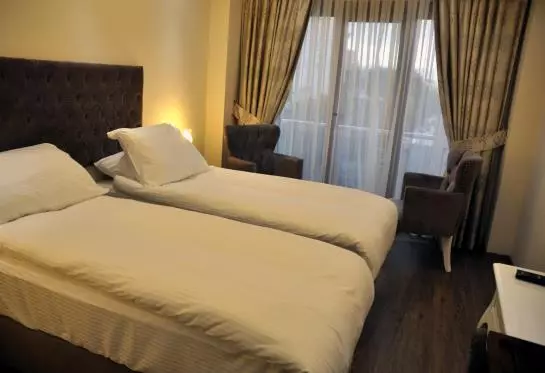 Fotos del hotel World Heritage Hotel Istanbul:  11