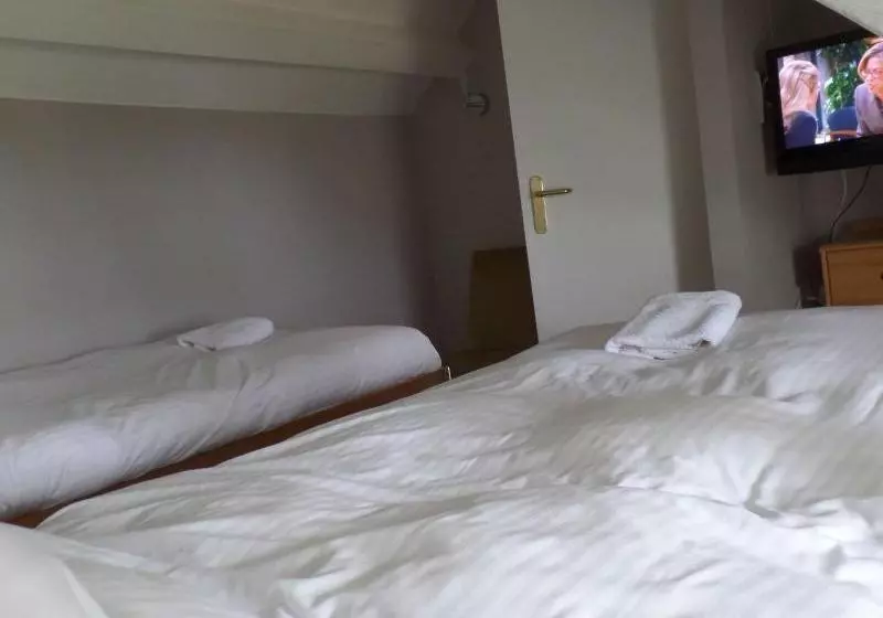 Fotos del hotel Bossiney House:  8