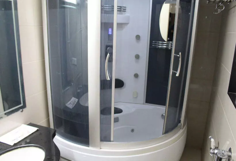 Fotos del hotel Grand Ambience:  4