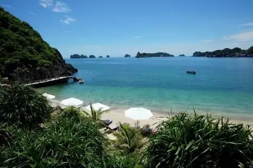 Fotos del hotel Monkey Island Resort:  14