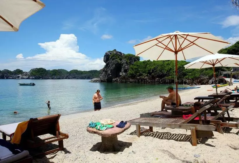 Fotos del hotel Monkey Island Resort:  17