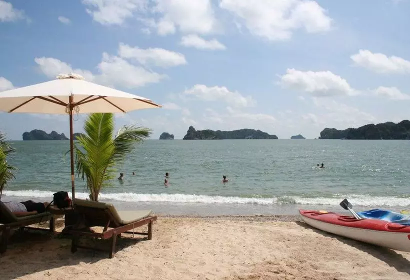 Fotos del hotel Monkey Island Resort:  16