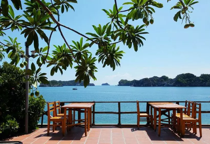 Fotos del hotel Monkey Island Resort:  21