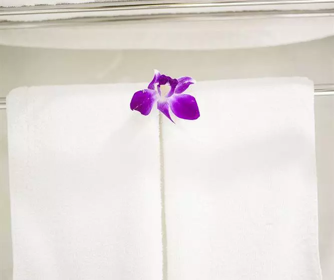 Fotos del hotel White Snow:  8