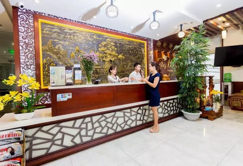 Fotos del hotel Tay Bac Hotel Da Nang:  8