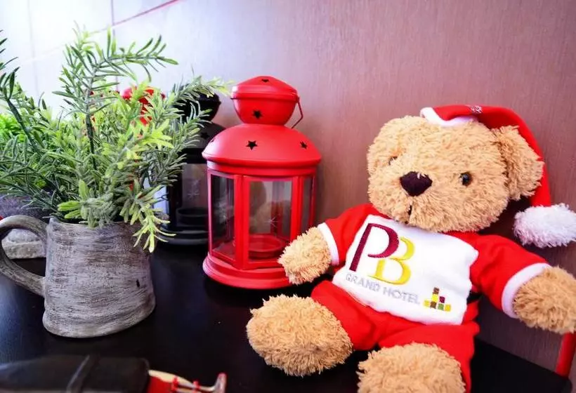 Fotos del hotel Pb Grand:  15