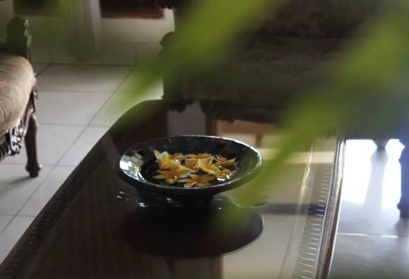 Fotos del hotel Santo Guest House:  3