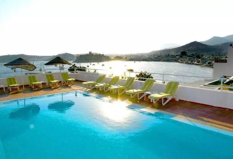 Fotos del hotel Angora:  3