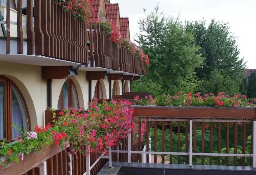 Fotos del hotel ágnes:  13