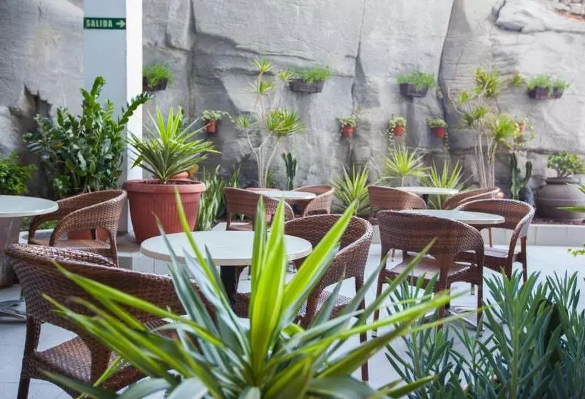 Fotos del hotel Revoli:  14