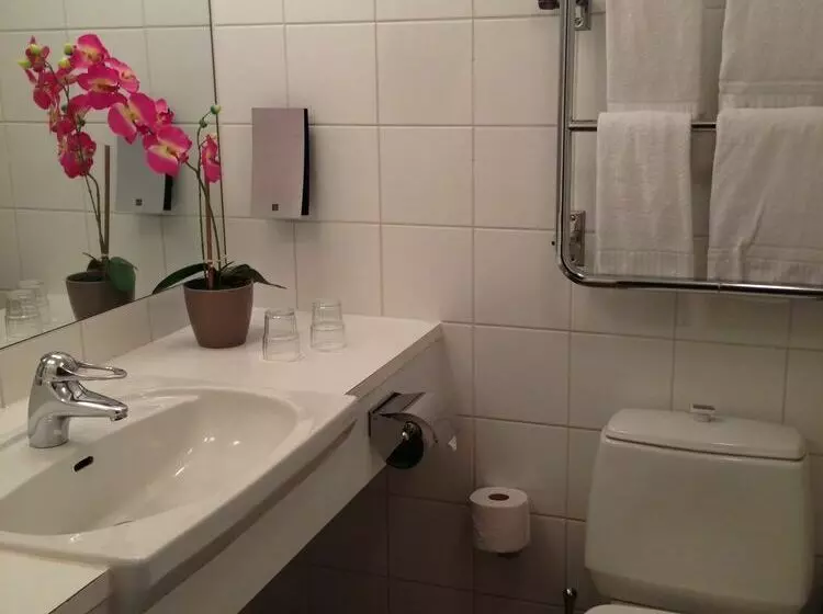 Fotos del hotel First Hotel Linné:  12