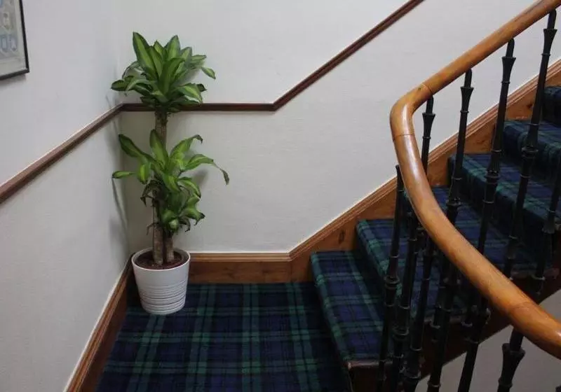 Kilmaurs Guest House