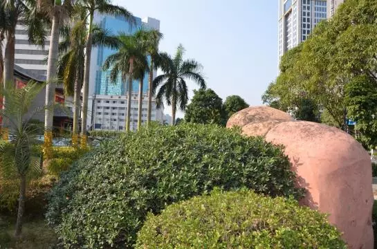 Fotos del hotel Greenery:  6