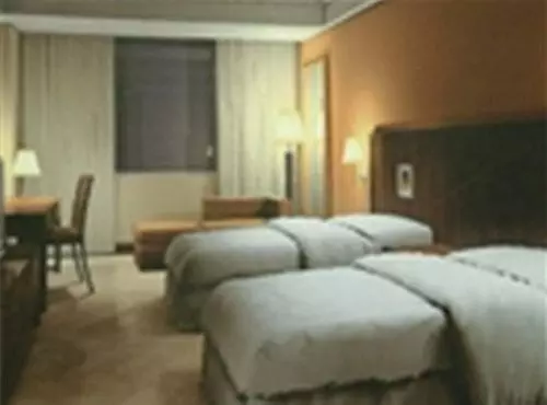 Fotos del hotel Grand Metro:  2