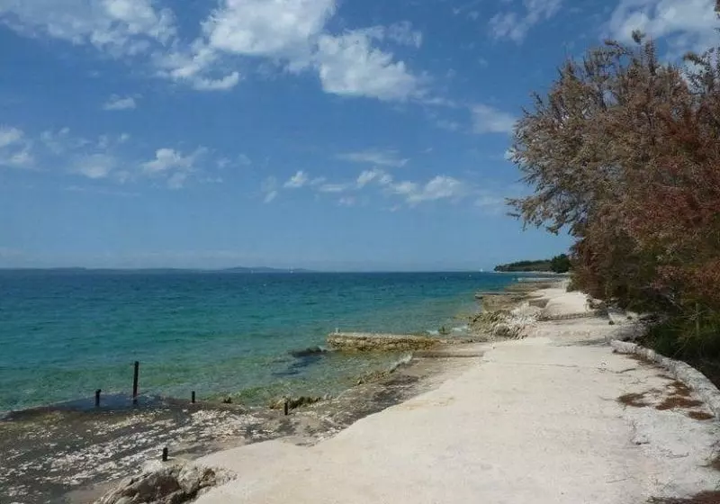 Fotos del hotel Apartmani Zubcic:  2