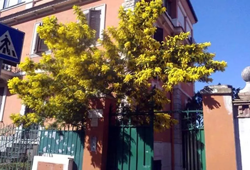 Fotos del hotel Home Holiday Vatican Museums:  5