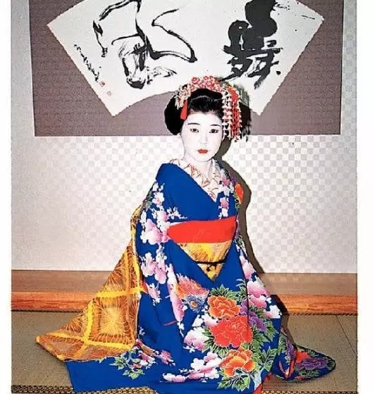 Fotos del hotel Gion Maifukan:  8