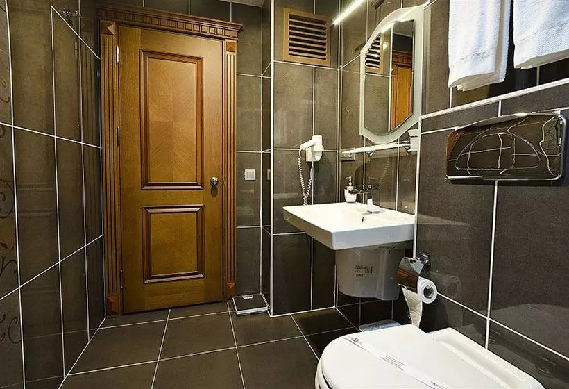 Fotos del hotel Millennium Suites:  4