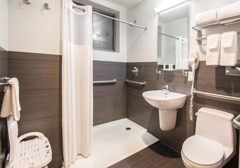 Fotos del hotel Comfort Inn Manhattan Bridge:  12