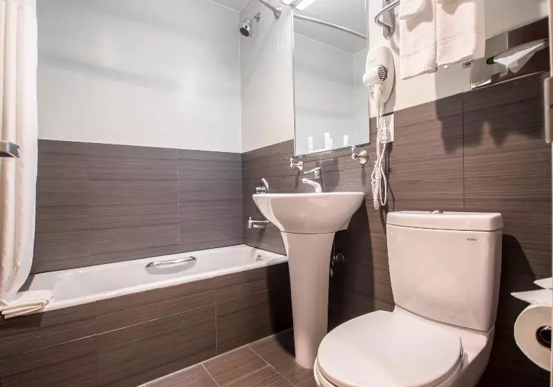 Fotos del hotel Comfort Inn Manhattan Bridge:  5